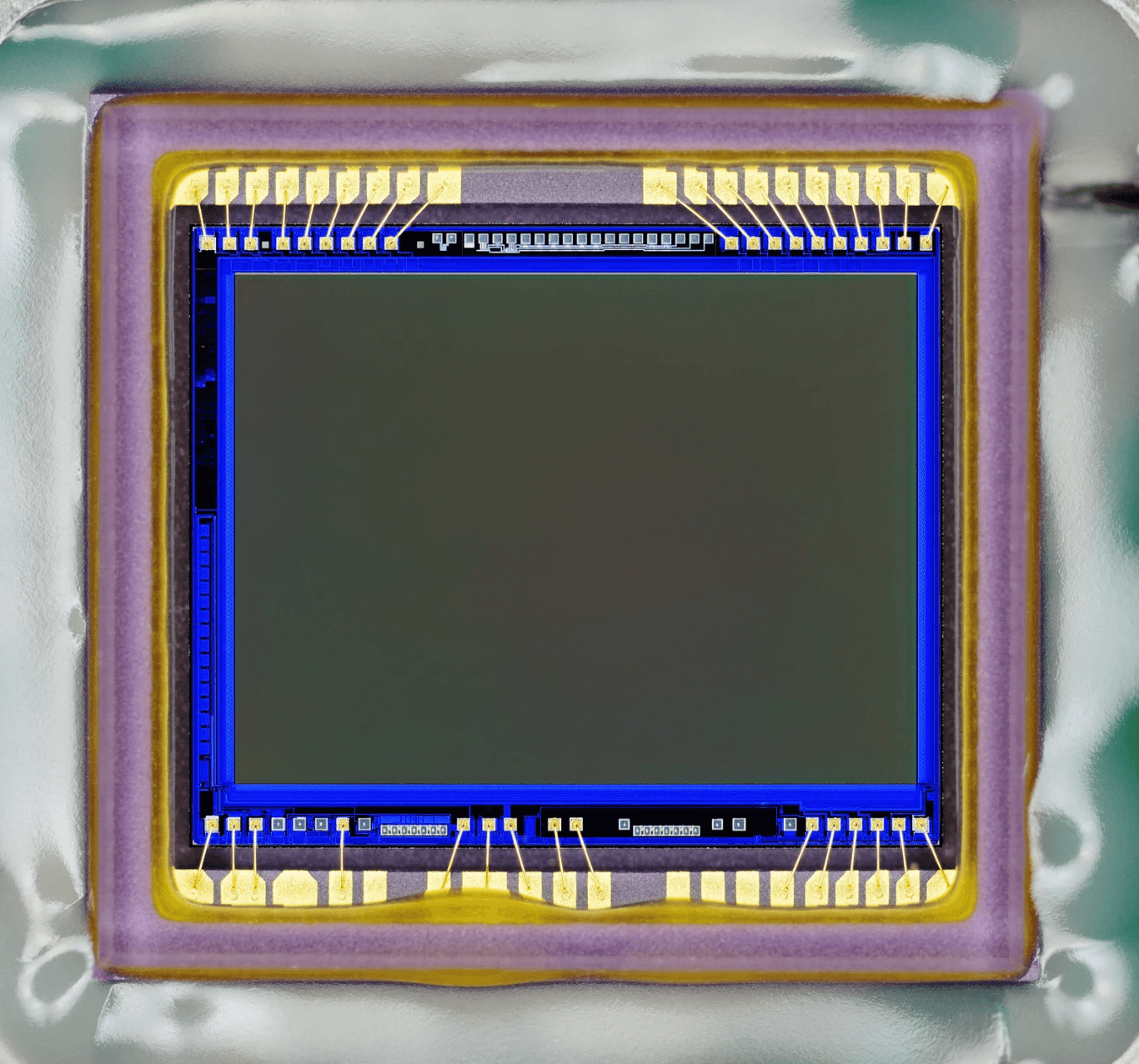 rapid silicon rapidgpt