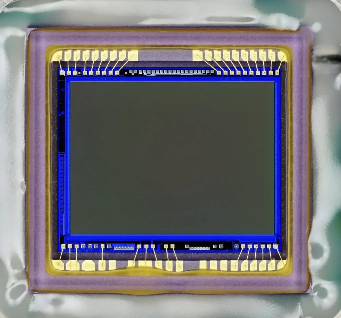 rapid silicon rapidgpt