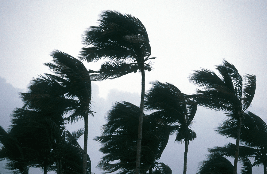 Typhoon Gaemi to cause significant supply chain disruptions.