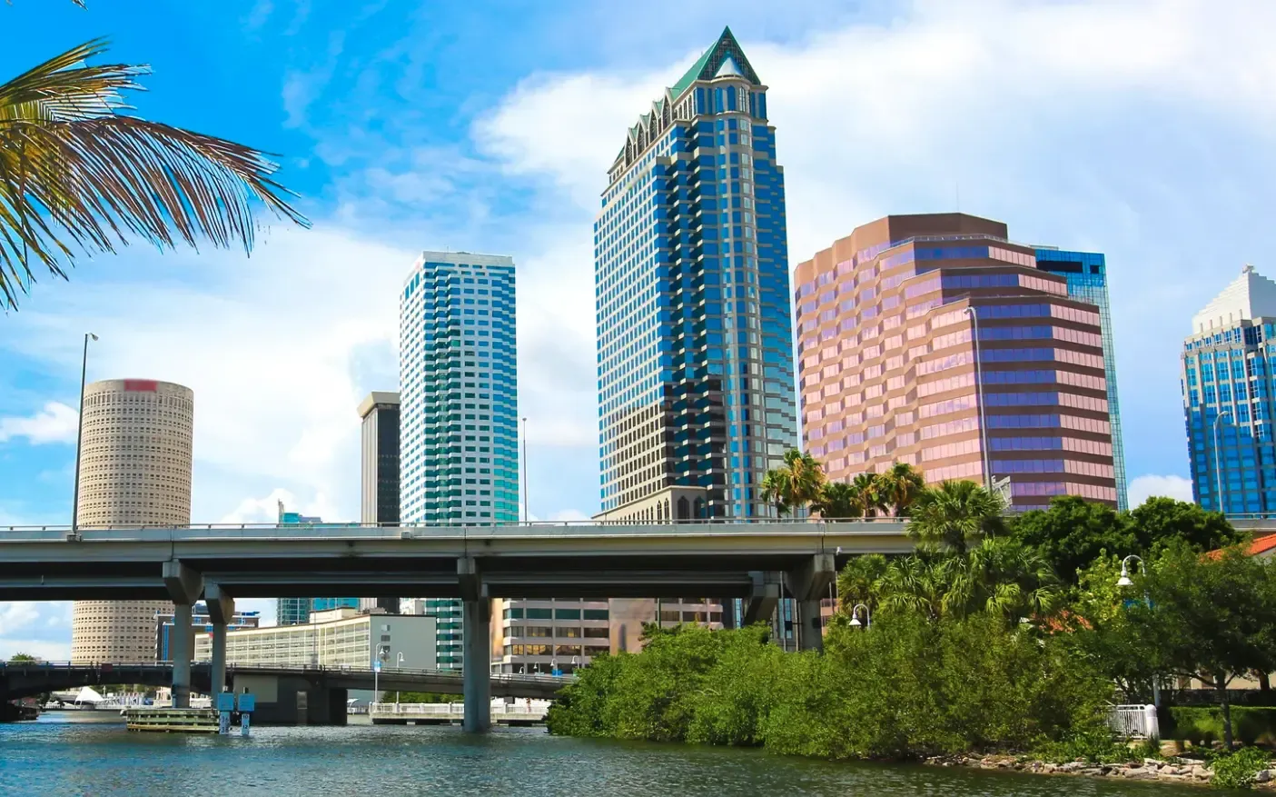Tampa city view